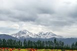 هیات کوهنوردی مشهد عقب نشینی کرد!