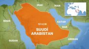 مهاجرانی: آقای عبدالحمید از حکم اعدام عالم دینی در عربستان بگو