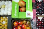 سیب آذربایجان غربی به بازارهای اوراسیا و روسیه صادر می‌شود