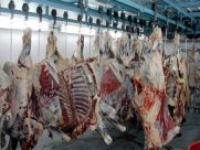 کشف ۴۵۰ کیلو گوشت الاغ، خرس، گراز و مرغ فاسد در جنوب تهران